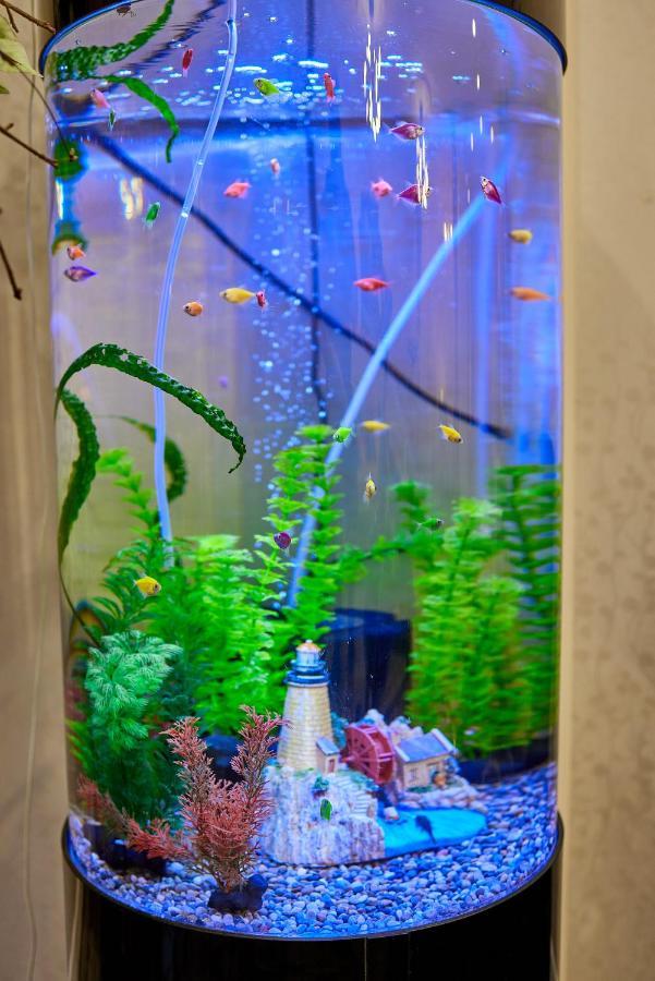 Spa Lux Apartmani Novi Sad Esterno foto